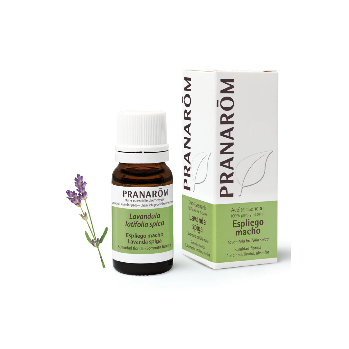 PRANAROM ACEITE ESENCIAL ESPLIEGO MACHO